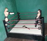 Figuras de La Wwe