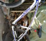 Bicicleta Next