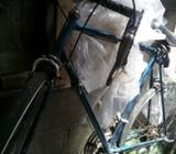 Bicicleta Pistera Roble de Alajuela