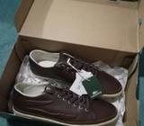 Tenis Lacoste