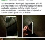 Solo Se Cambia Mate 8
