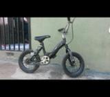 Bicicleta 12