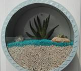 Decoración Cactus para Pared