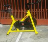 Biciclta Cicadex