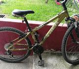 Trek 3900