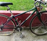 Trek 730 Urbana