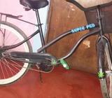 Banana 24 Info Al 84238501 Precio 40000