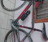 Fuji de Ruta