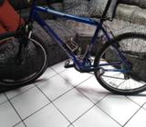 Bicicleta Iron Horse