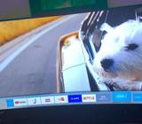 Smart Tv 65” Curve