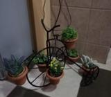 Macetera en forma de bicicleta
