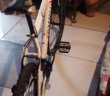 Bicicleta en Perfecto Estado
