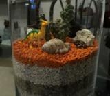 Terrario Paisaje Miniatura Desierto