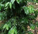 Aros 16 de Suzuki Sport