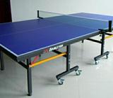 Mesa de Pin Pong Profesional