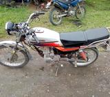 Placa Y Papeles