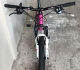 Trek 26