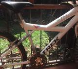 Bicicletas