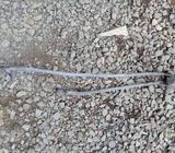 Toyota 22r 88 Barillaje de Escobillas