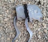 Toyota 4runner 88 Bisagras Tapa de Motor