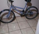 Bicicleta Rin 24