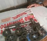 Caja de Cambios de Serpentonto Piton 250