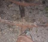 de Isuzu Forward 83 Fsr