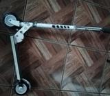 Scooter Niño