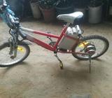 Bicicleta Electrica
