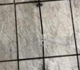 Varilla de Tapa de Motor Hyundai Elantra 20072010