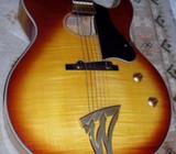 Guitarra Washburn Jazz Series J4hb, Semielectrica