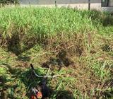 Mantenimiento de Jardines