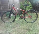 Bicicleta 29