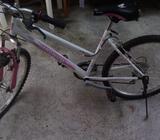 Bicicleta 24