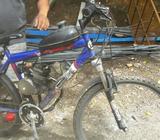 Bisi Moto Perfecto Estado