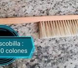 Escobilla Apicultura