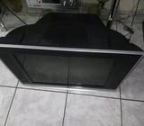 Tv Telstar 29
