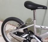 Bici 16