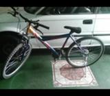 Bicicleta 26