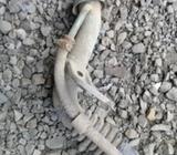 Toyota 4runner 87 Cuello de Combustible