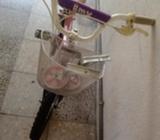 Vicicleta con Rodines