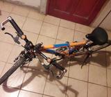 Bicicleta