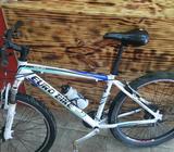 Bisicleta Euro 26