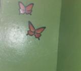 Vendo Mariposas en Contri