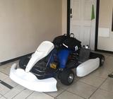 Go Kart Rotax Dd2 Max Original Full