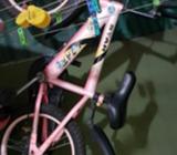 Bicicleta de Niña