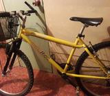 Bicicleta Montañera