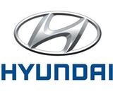 Tapa de Baul Hyundai Elantra 20072010