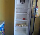 Cámara de Refrigeración