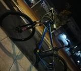 Bicicleta Raleigh